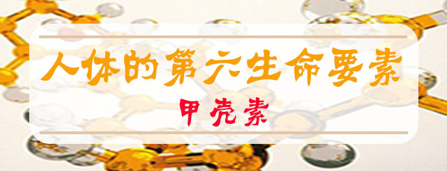 甲壳素.jpg